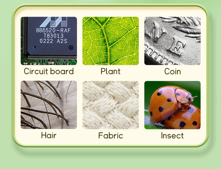 Microscope for Kids Children Microscope with 2 Inch Screen 1000x Zoom Mini Handheld Microscope Camera Christmas Birthday Gifts